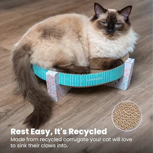 Catstages indoor cat scratcher resting in a living room setting.