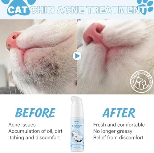 How to use GJYC PET feline blackhead cleanser on a cat's chin demonstration
