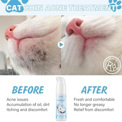 How to use GJYC PET feline blackhead cleanser on a cat's chin demonstration