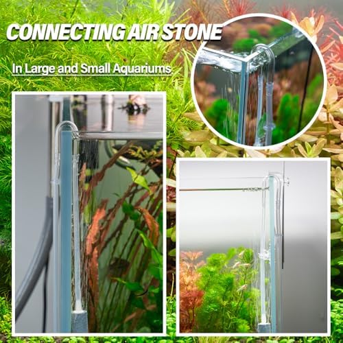 Minimalist rimless aquarium layout featuring hidden air pump pipeline management.