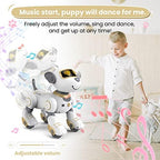 Child playing with Fuuy remote control robot dog