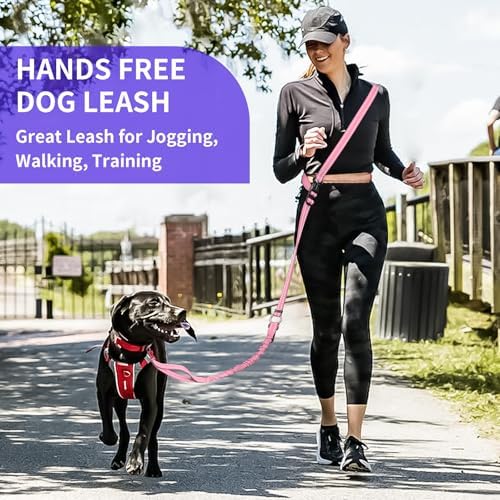 Kazazoo hands free running leash wrapped around a waist for jogging with large dogs.
