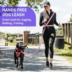 Kazazoo hands free running leash wrapped around a waist for jogging with large dogs.