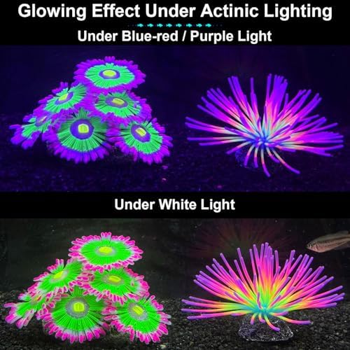 Close up of the non toxic silicone texture on the HIKTQIW aquarium fish tank accessories