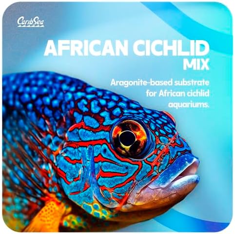African Cichlid fish swimming over natural sand substrate
