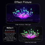 Bluecoco fish tank decor under blue light illumination