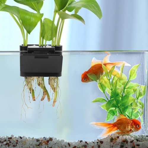Two pieces pack of upgraded aquascape accessories by Roetelo