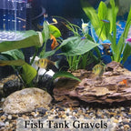 Decorative river rocks displayed in a glass vase filler