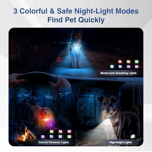 Premium remote trainer showing static and vibration correction buttons for large dogs