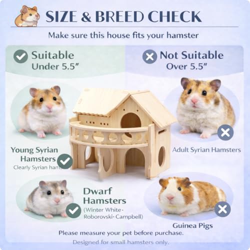 Improved Safety Large Balcony Small & Cute Wooden Hamster House with Large Balcony - Double-Decker Forest-Style Hut for Dwarf Hamsters, Mice, Gerbils, Rats & Small Pets (Compact Size Only) - Image 6