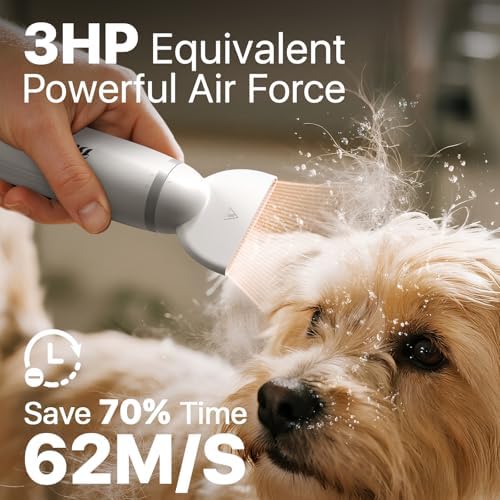 Handheld dog hair dryer control interface display