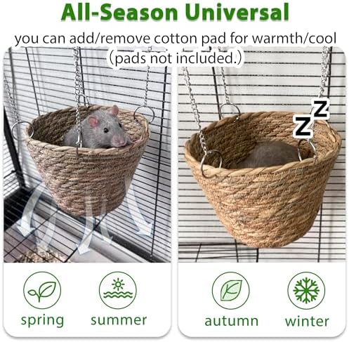 Spacious eight inch diameter grass hammock suitable for two pet rats.