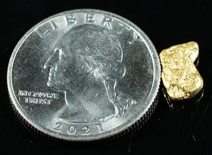 Genuine Alaskan BC raw gold nugget macro detail