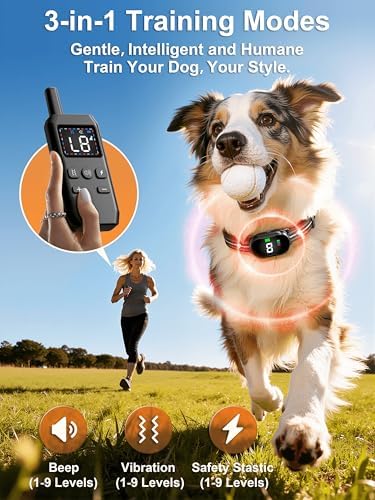 Veconix waterproof dog shock collar receiver showing the safe conductive rubber covers