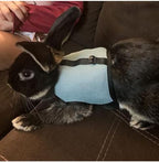 Youalso authentic imported bunny vest harness and safety lead assembly