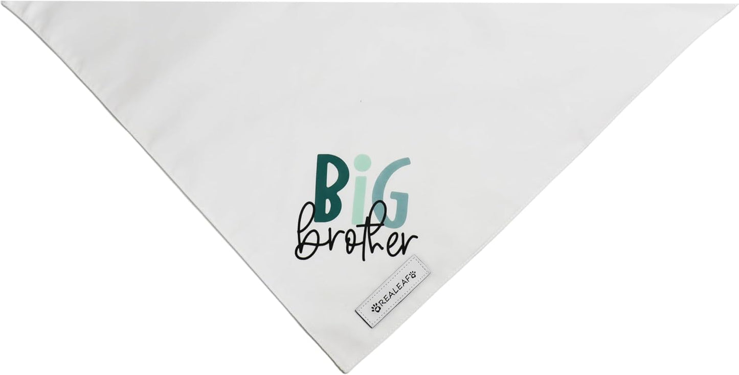 Close up of Realeaf Big Brother pet bandana fabric and stitching