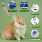 GAGILAND premium ferret leash kit showcasing double pack packaging components.
