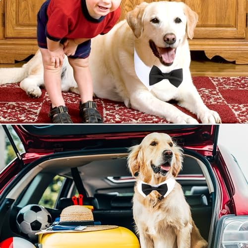 Segarty formal dog bow tie accessory for wedding events