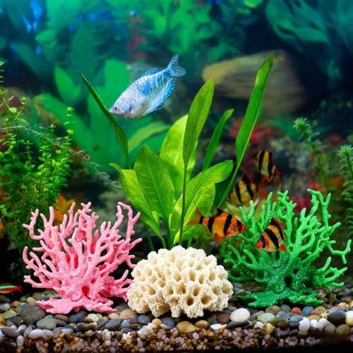 Petaxcell orange fish tank decoration used as a creative tabletop and potted plant accent.