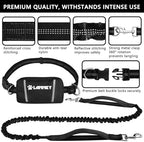 LANNEY dual handle dog leash showing close control neoprene grip