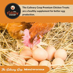 Fluker's culinary coop mealworms lifestyle and feeding concept