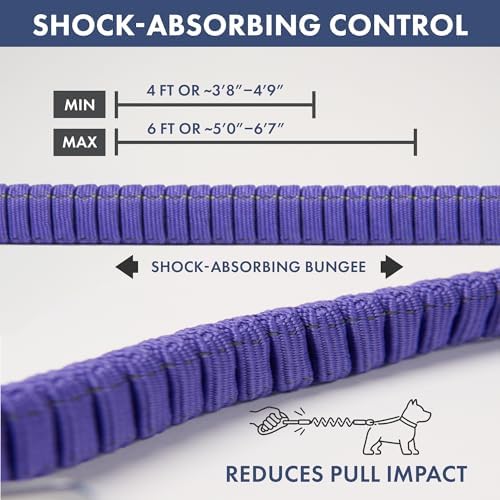 Spark Paws hands free lead system alloy hook closure close up view