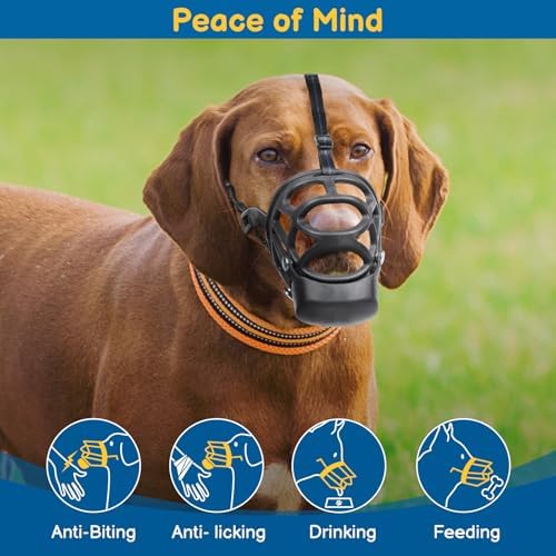 Barkless humane muzzle for large dog breeds