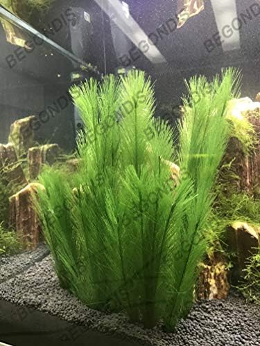 Fade resistant artificial water plants for freshwater fish tanks