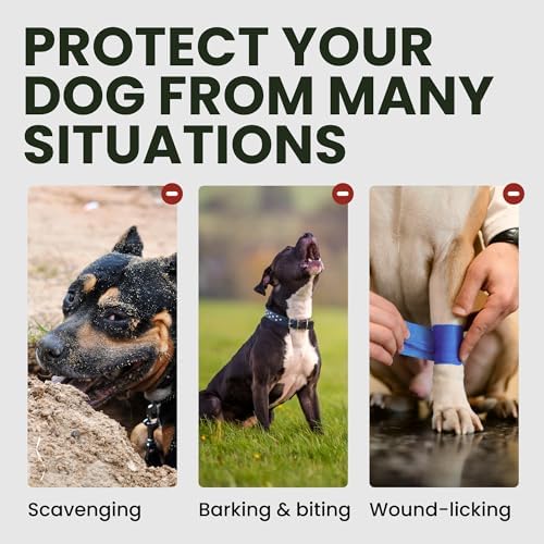 Authentic BRONZEDOG protective dog face mask packaging and details.