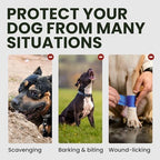 Authentic BRONZEDOG protective dog face mask packaging and details.