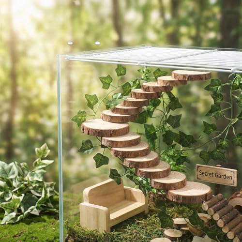 Jumping Spider Accessories, Jumping Spider Enclosure Accessories Kit Habitat Decor, 3Pcs Wood Decor, Fun Enclosure for Climbing & Hiding - Image 5