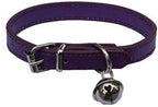 Lanyarco PU leather pet collar flat lay product showcase