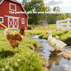 Adjustable hen training vest displaying the sturdy metal ring leash attachment system