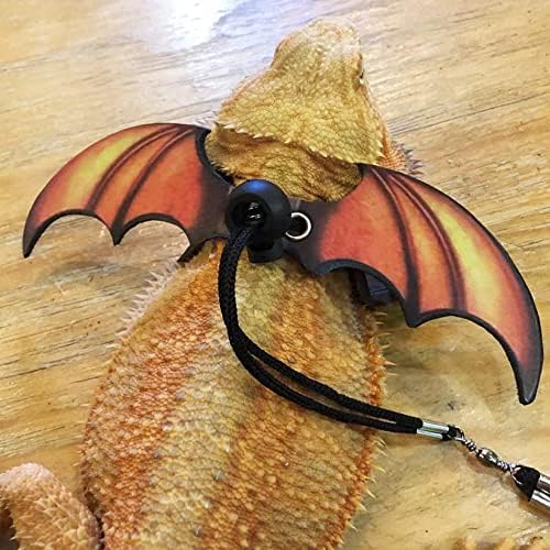 Bearded dragon wearing orange wing harness outdoors