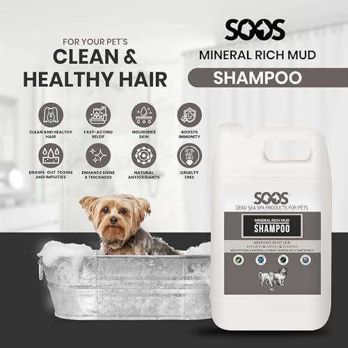 Cat coat conditioned with Soos Pets Natural Dead Sea Shampoo