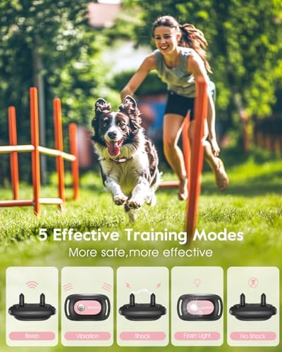 Slopehill electronic dog trainer kit showing remote control and waterproof collar layout
