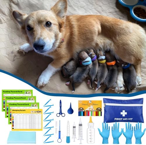 URMYONLY newborn care tools including nursing bottle and pill shooter for puppies