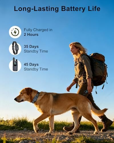Keypad security lock switch on dog trainer remote