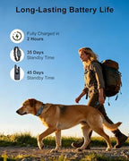 Keypad security lock switch on dog trainer remote