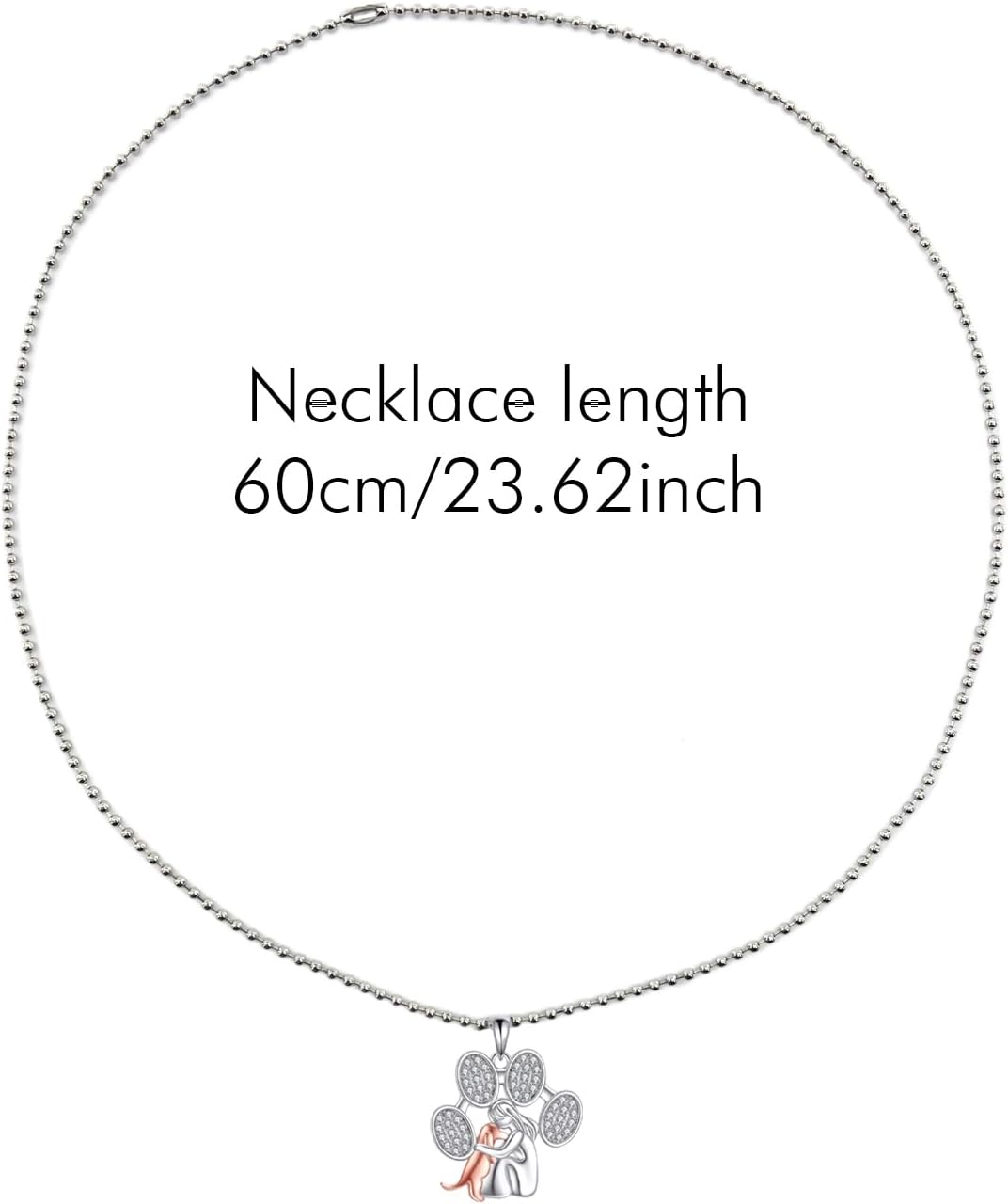 Pet dog showing the matching collar necklace pendant variant during a walk.