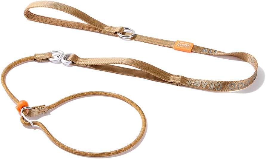 HowGo Slip Lead Dog Leash with Padded Handles | Lightweight Dog Training Leash with 360 degreesSwivel Anti-Tangle | Heavy-Duty Lead and Collar for Large Medium and Small, No-Pull Walking (Black, 5.5FT) - Image 10