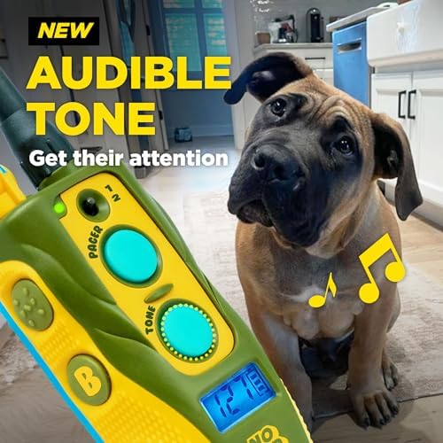Dogtra 280C 2.0 rechargeable dog collar components showcasing its compact and durable design.
