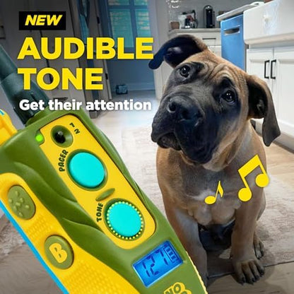 Dogtra 280C 2.0 rechargeable dog collar components showcasing its compact and durable design.