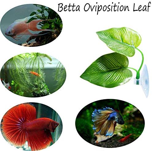 CousDUoBe aquarium ornament showing both large and small realistic green leaves