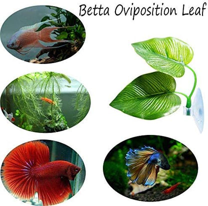 CousDUoBe aquarium ornament showing both large and small realistic green leaves