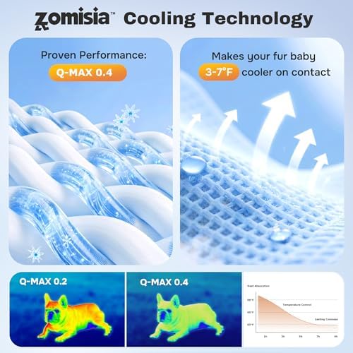 Border Collie dog resting comfortably on the blue ZOMISIA cooling mat