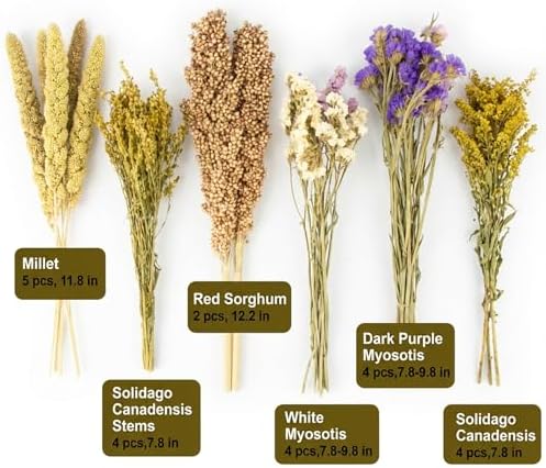 Sukh Natural Hamster Bedding Sprays - Foraging Habitat Decor Cage Accessories, Hideout Enrichment for Dwarf & Syrian Hamsters, Gerbils, Mice and Other Small Animals - Image 6