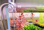 Lily pipe set with suction cups