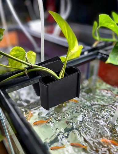 Hanging aquarium planter demonstrating scientific water circulation system