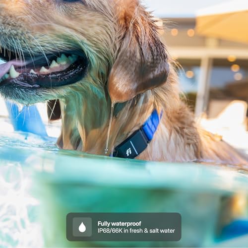 Close up of the AI powered GPS tracking module on the pink large dog collar.